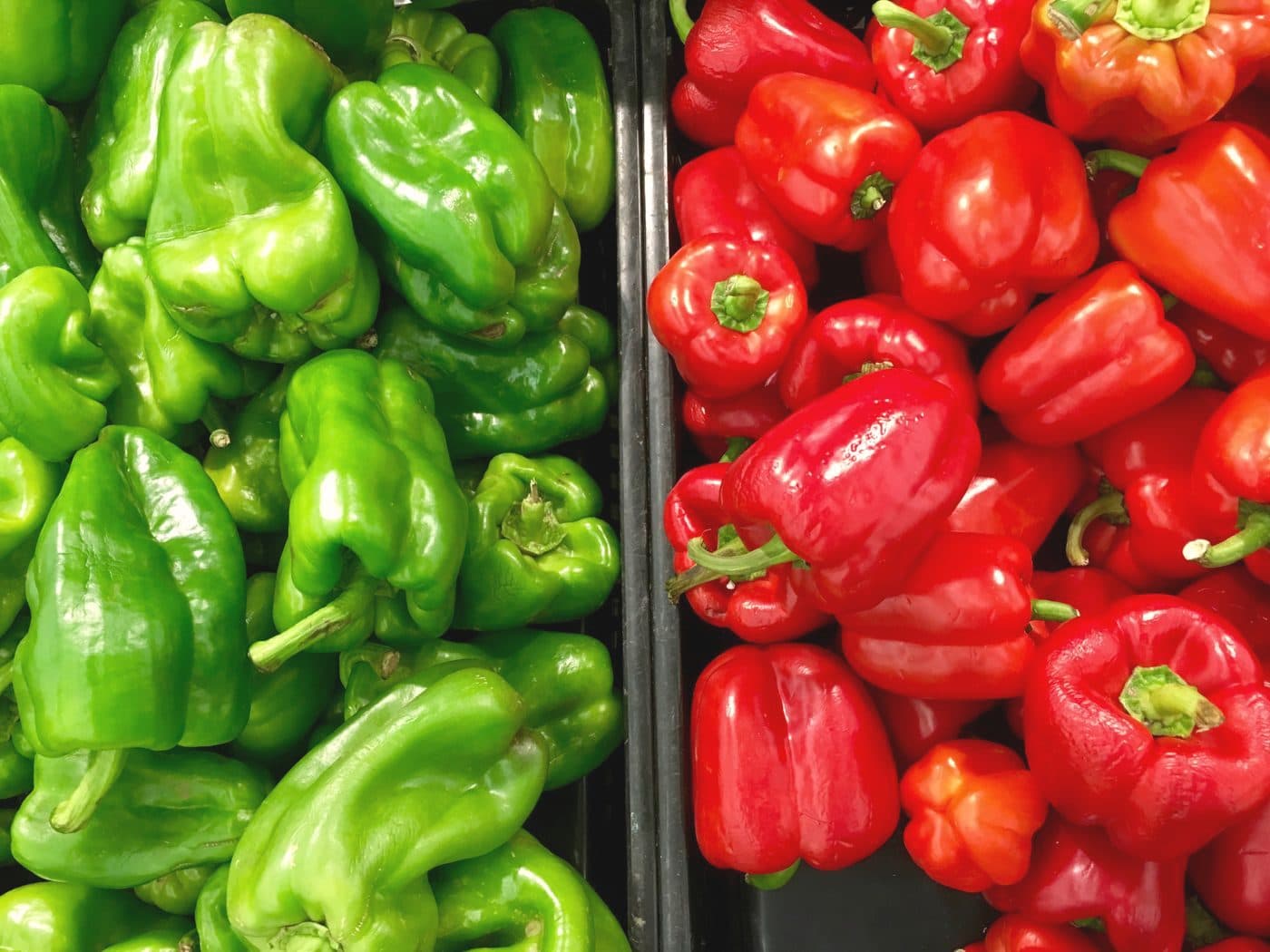 Poivrons destinés à l'export — filière vetafresh