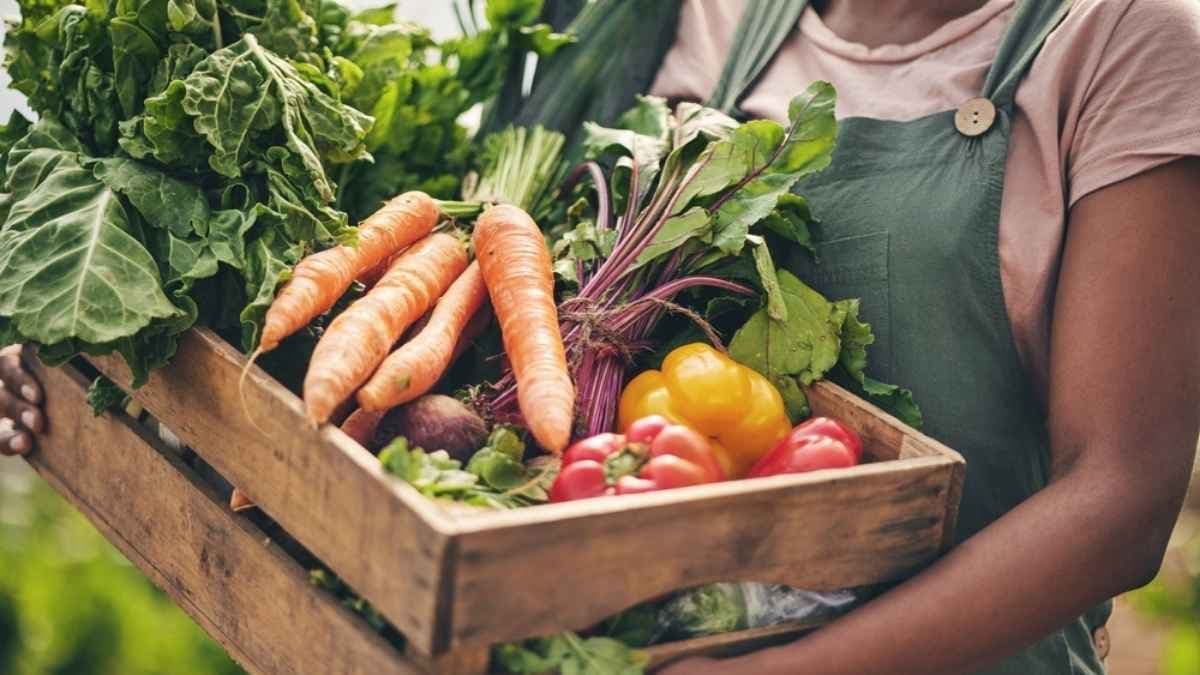 Personne portant une cagette en bois remplie de carottes, poivrons, betteraves et légumes verts