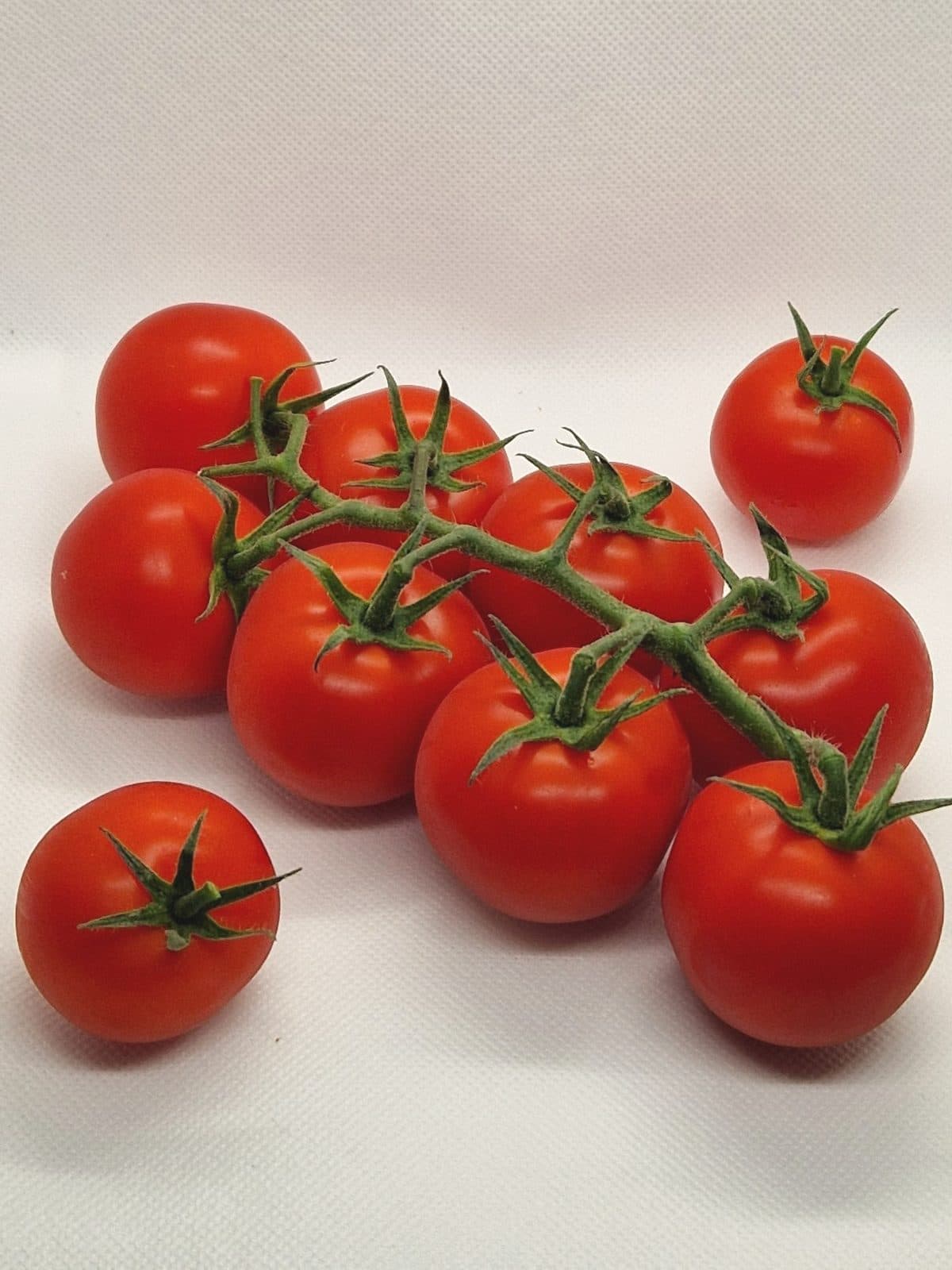Tomates grappe rouges sur leur rameau, posées sur fond clair